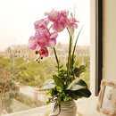 1pcs Artificial Silk Butterfly Orchid Flowers Wedding Home Decorations