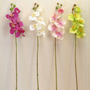 1pcs Artificial Silk Butterfly Orchid Flowers Wedding Home Decorations