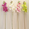 1pcs Artificial Silk Butterfly Orchid Flowers Wedding Home Decorations