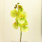 1pcs Artificial Silk Butterfly Orchid Flowers Wedding Home Decorations