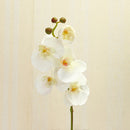 1pcs Artificial Silk Butterfly Orchid Flowers Wedding Home Decorations