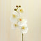 1pcs Artificial Silk Butterfly Orchid Flowers Wedding Home Decorations