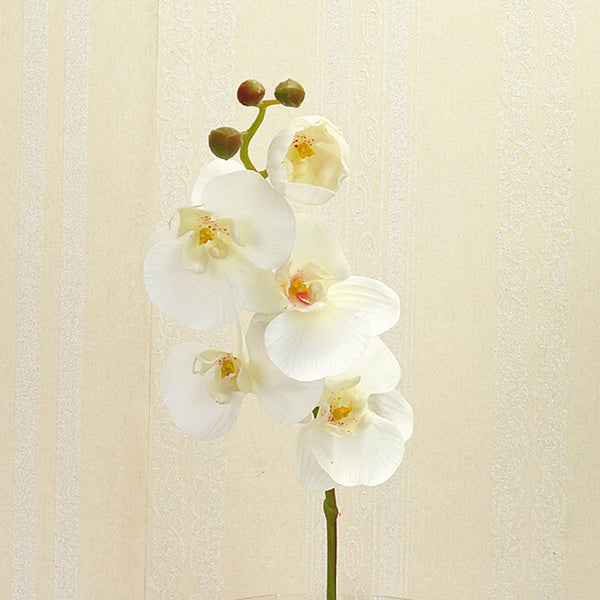 1pcs Artificial Silk Butterfly Orchid Flowers Wedding Home Decorations