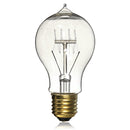 E27 40W A19 Vintage Antique Edison Incandescent Bulb Clear Glass 110V