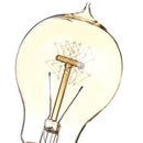 E27 110V/220V 40W A19 23 Anchors Edison Filament Incandescent Bulb