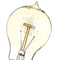 E27 110V/220V 40W A19 23 Anchors Edison Filament Incandescent Bulb