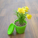Plastic Thread Flower Pot With Tray Garden Plants Flower Pots