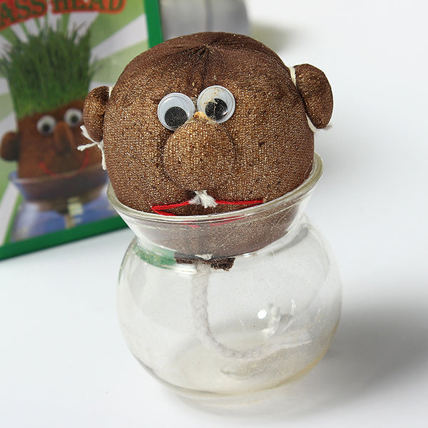 Mini DIY Magic Grass Plant Pot Grass Head Doll Indoor Potted Plant