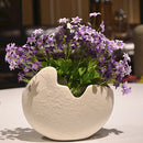 Creative Ceramic Egg Shell Shaped Desktop Flower Pots Potted Plants