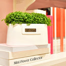 Mini Power Station Creative DIY Plant Digital Clock Desktop Potting