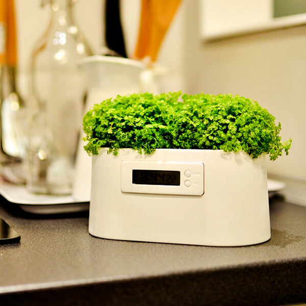 Mini Power Station Creative DIY Plant Digital Clock Desktop Potting