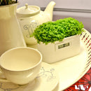 Mini Power Station Creative DIY Plant Digital Clock Desktop Potting