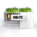 Mini Power Station Creative DIY Plant Digital Clock Desktop Potting