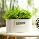 Mini Power Station Creative DIY Plant Digital Clock Desktop Potting
