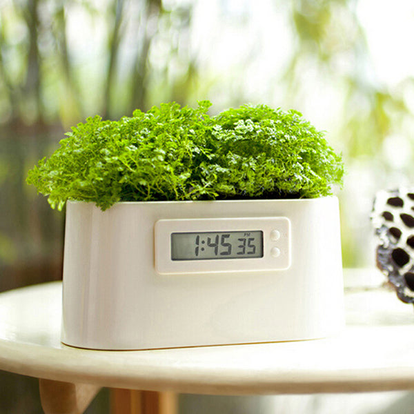 Mini Power Station Creative DIY Plant Digital Clock Desktop Potting