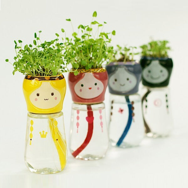 DIY Mini Doll Tail Water Absorption Potted Plant Desktop Office Decor