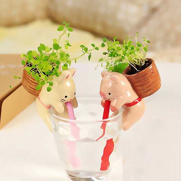 Mini Auto Water Absorption Animal Potted Plants Office Desktop Plant
