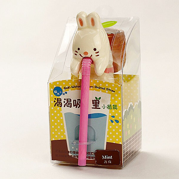 Mini Auto Water Absorption Animal Potted Plants Office Desktop Plant