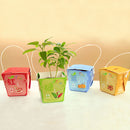 Creative Mini Gift Box Shape Potted Office Hydroponic Plant Desktop