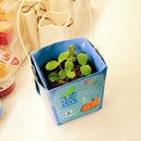 Creative Mini Gift Box Shape Potted Office Hydroponic Plant Desktop