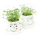 DIY Mini Lucky Angel Grass Potted Lovers Plant Desktop Decor