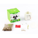 DIY Mini Lucky Angel Grass Potted Lovers Plant Desktop Decor