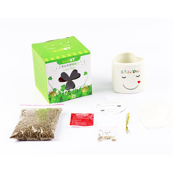 DIY Mini Lucky Angel Grass Potted Lovers Plant Desktop Decor