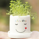 DIY Mini Lucky Angel Grass Potted Lovers Plant Desktop Decor