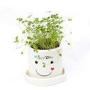 DIY Mini Lucky Angel Grass Potted Lovers Plant Desktop Decor