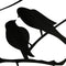 Removable Birds Branch Tree Wall Stickers Home Art Decals DIY Living Room Decor
