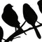 Removable Birds Branch Tree Wall Stickers Home Art Decals DIY Living Room Decor