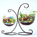 Micro Landscape Suspension C-shaped Hob Iron Rack Garden Decor