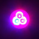 6W E27 Red + Blue LED Plant Grow Light Lamp Flower Hydroponic Globe Bulb 85-265V