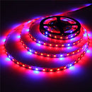 1M 2M 3M 4M 5M 4:1 5050 SMD LED Hydroponic Plant Grow Strip Light 12V