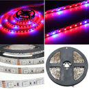 1M 2M 3M 4M 5M 4:1 5050 SMD LED Hydroponic Plant Grow Strip Light 12V