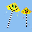 Smiling Face Kite Two Patterns Cartoon Kite Sports Beach Kite for Kids