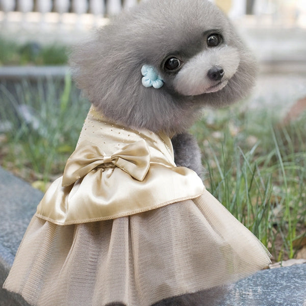 Summer Dog Dress Puppy Hot Drilling Wedding Dress Lace Doggy Skirt