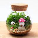 Moss Succulent Plants Micro Landscape Vase Eco Glass Bottle Home Decor