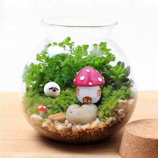 Moss Succulent Plants Micro Landscape Vase Eco Glass Bottle Home Decor