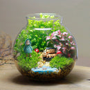 Moss Succulent Plants Micro Landscape Vase Eco Glass Bottle Home Decor