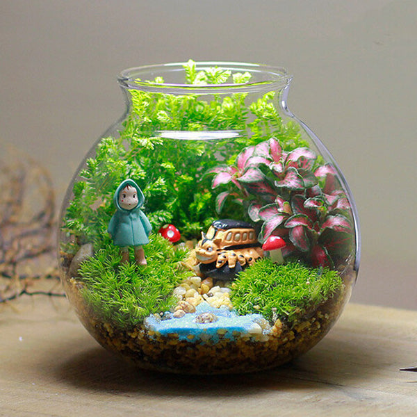 Moss Succulent Plants Micro Landscape Vase Eco Glass Bottle Home Decor