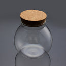 Moss Succulent Plants Micro Landscape Vase Eco Glass Bottle Home Decor