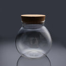 Moss Succulent Plants Micro Landscape Vase Eco Glass Bottle Home Decor