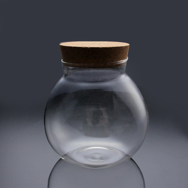 Moss Succulent Plants Micro Landscape Vase Eco Glass Bottle Home Decor