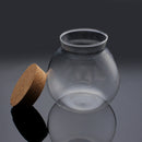 Moss Succulent Plants Micro Landscape Vase Eco Glass Bottle Home Decor