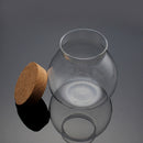 Moss Succulent Plants Micro Landscape Vase Eco Glass Bottle Home Decor