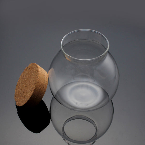 Moss Succulent Plants Micro Landscape Vase Eco Glass Bottle Home Decor