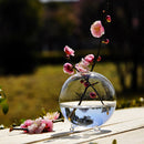 Hydroponic Plants Hanging Ball Shape Glass Vase Home Garden Decor
