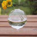 Hydroponic Plants Hanging Ball Shape Glass Vase Home Garden Decor
