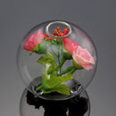 Hydroponic Plants Hanging Ball Shape Glass Vase Home Garden Decor
